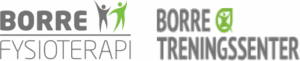 Borre fysioterapi Logo
